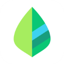 薄荷记账app最新版