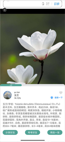 识花君app8