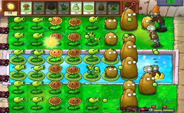 植物大战僵尸汉化版